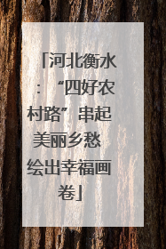 河北衡水：“四好农村路”串起美丽乡愁 绘出幸福画卷