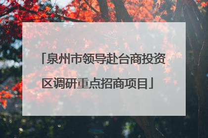 泉州市领导赴台商投资区调研重点招商项目