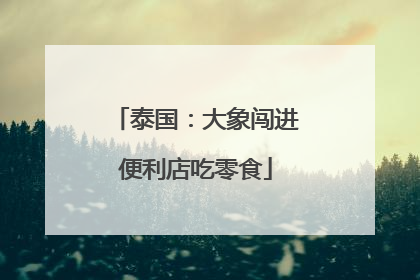 泰国：大象闯进便利店吃零食