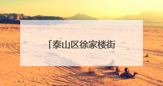 泰山区徐家楼街道新峪社区开展环境卫生整治活动