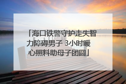 海口铁警守护走失智力障碍男子 3小时暖心照料助母子团圆