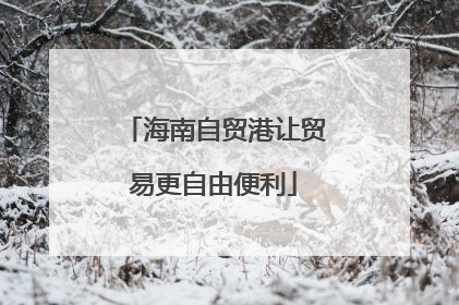 海南自贸港让贸易更自由便利