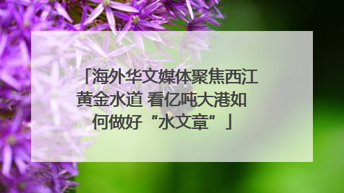 海外华文媒体聚焦西江黄金水道 看亿吨大港如何做好“水文章”