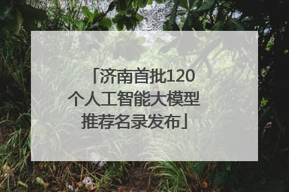济南首批120个人工智能大模型推荐名录发布