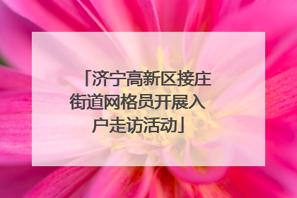 济宁高新区接庄街道网格员开展入户走访活动