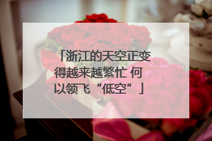 浙江的天空正变得越来越繁忙 何以领飞“低空”