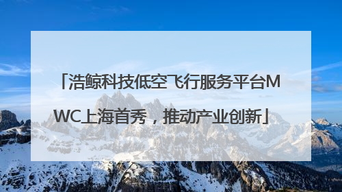 浩鲸科技低空飞行服务平台MWC上海首秀，推动产业创新