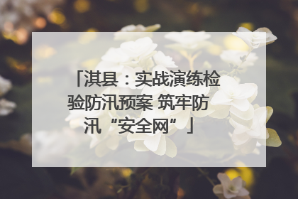 淇县：实战演练检验防汛预案 筑牢防汛“安全网”