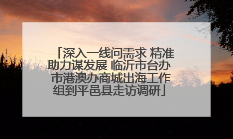 深入一线问需求 精准助力谋发展 临沂市台办 市港澳办商城出海工作组到平邑县走访调研