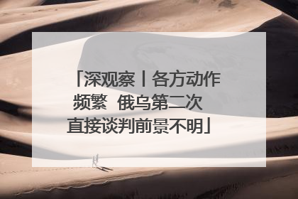 深观察丨各方动作频繁  俄乌第二次直接谈判前景不明