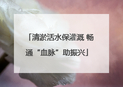 清淤活水保灌溉 畅通“血脉”助振兴