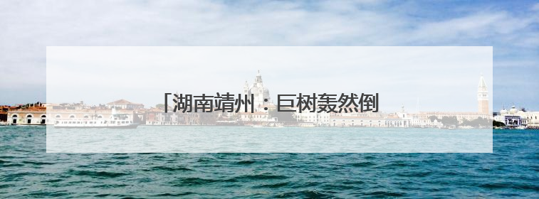 湖南靖州：巨树轰然倒塌前紧急管制成功避险