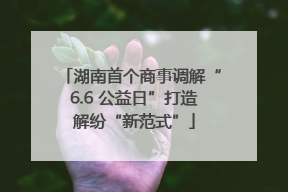 湖南首个商事调解“6.6 公益日”打造解纷“新范式”