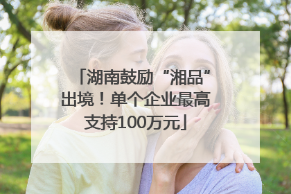 湖南鼓励“湘品”出境！单个企业最高支持100万元