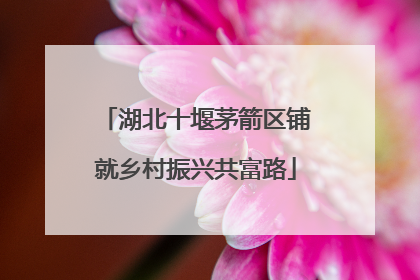 湖北十堰茅箭区铺就乡村振兴共富路