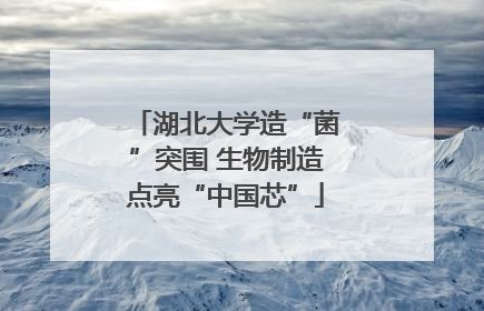 湖北大学造“菌”突围 生物制造点亮“中国芯”