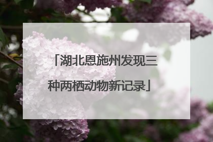 湖北恩施州发现三种两栖动物新记录