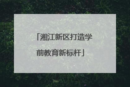 湘江新区打造学前教育新标杆