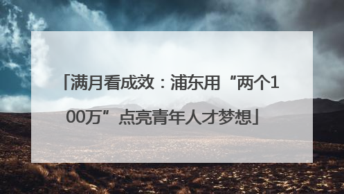 满月看成效：浦东用“两个100万”点亮青年人才梦想