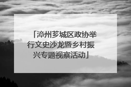 漳州芗城区政协举行文史沙龙暨乡村振兴专题视察活动