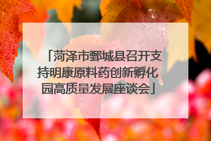 菏泽市鄄城县召开支持明康原料药创新孵化园高质量发展座谈会