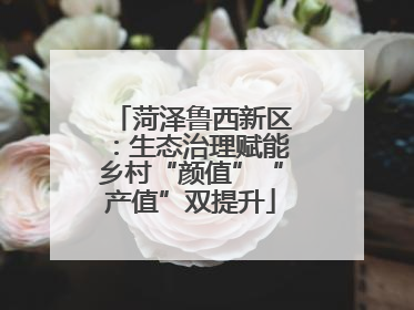 菏泽鲁西新区：生态治理赋能乡村“颜值”“产值”双提升