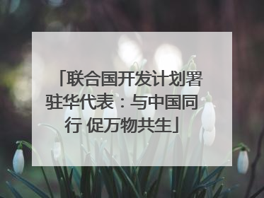 联合国开发计划署驻华代表：与中国同行 促万物共生