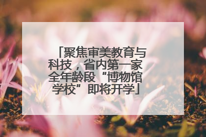 聚焦审美教育与科技，省内第一家全年龄段“博物馆学校”即将开学