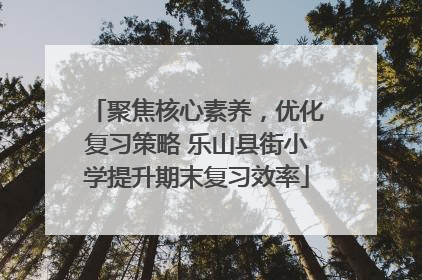 聚焦核心素养，优化复习策略 乐山县街小学提升期末复习效率