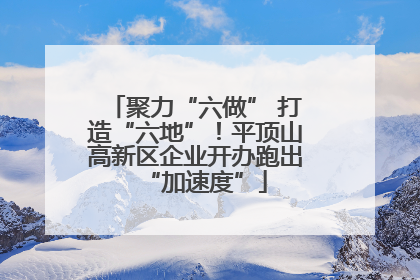 聚力“六做” 打造“六地”！平顶山高新区企业开办跑出“加速度”