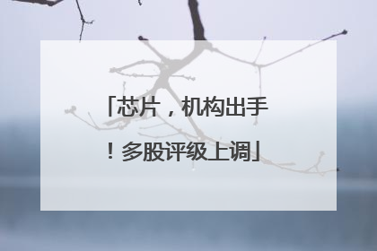 芯片，机构出手！多股评级上调