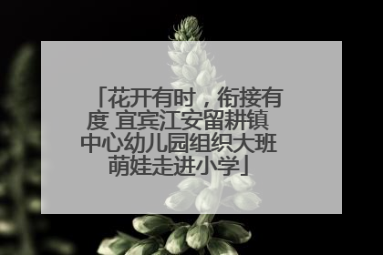 花开有时，衔接有度 宜宾江安留耕镇中心幼儿园组织大班萌娃走进小学