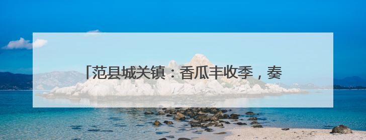 范县城关镇：香瓜丰收季，奏响乡村振兴 “甜蜜乐章”