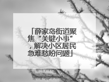 薛家岛街道聚焦“关键小事”，解决小区居民急难愁盼问题