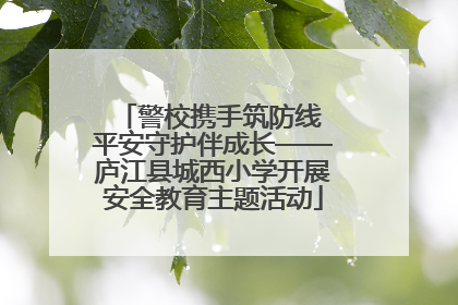 警校携手筑防线 平安守护伴成长——庐江县城西小学开展安全教育主题活动