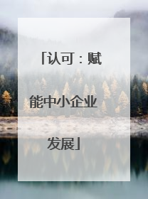 认可：赋能中小企业发展