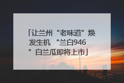 让兰州“老味道”焕发生机 “兰白946”白兰瓜即将上市