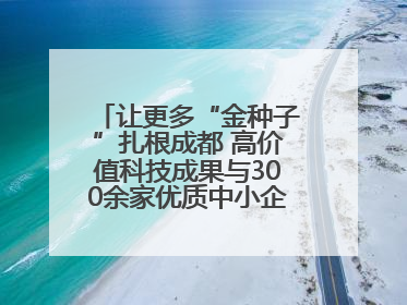 让更多“金种子”扎根成都 高价值科技成果与300余家优质中小企业精准对接