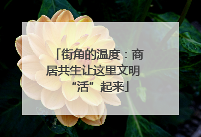 街角的温度：商居共生让这里文明“活”起来