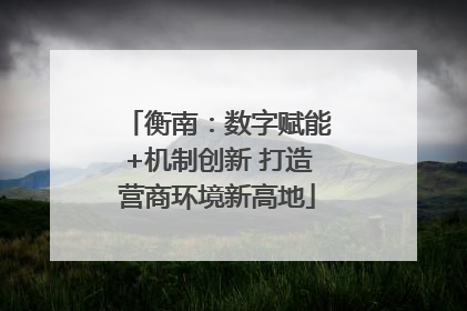 衡南：数字赋能+机制创新 打造营商环境新高地