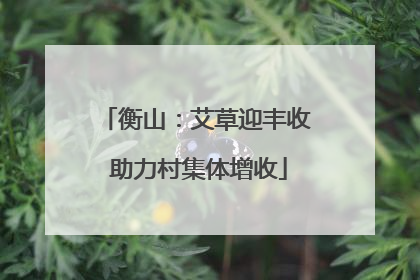 衡山：艾草迎丰收 助力村集体增收