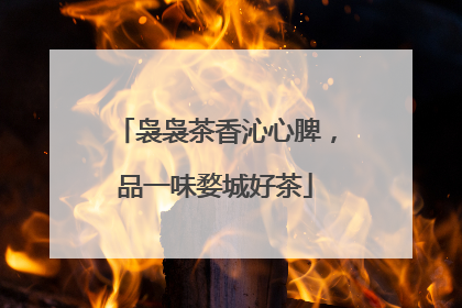 袅袅茶香沁心脾，品一味婺城好茶