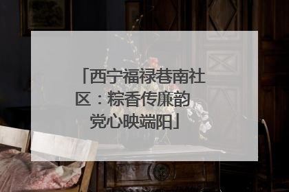 西宁福禄巷南社区：粽香传廉韵 党心映端阳