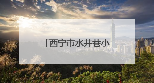 西宁市水井巷小学：牢记党的教导 争做强国少年