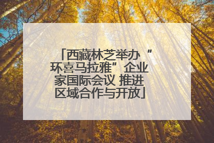 西藏林芝举办“环喜马拉雅”企业家国际会议 推进区域合作与开放