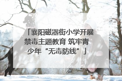 襄阳磁器街小学开展禁毒主题教育 筑牢青少年“无毒防线”