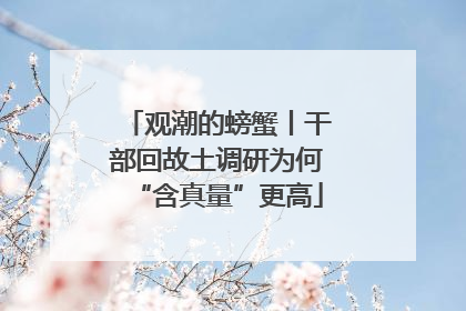 观潮的螃蟹丨干部回故土调研为何“含真量”更高