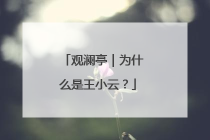 观澜亭｜为什么是王小云？