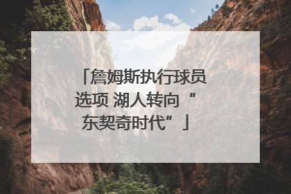 詹姆斯执行球员选项 湖人转向“东契奇时代”