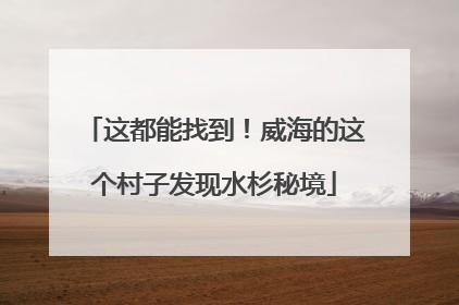 这都能找到！威海的这个村子发现水杉秘境